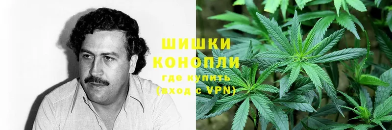 Канабис White Widow  Зубцов 